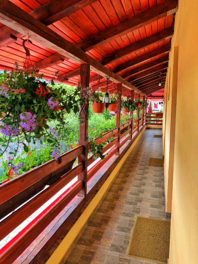 Casa Boico Otel Gura Humorului Dış mekan fotoğraf