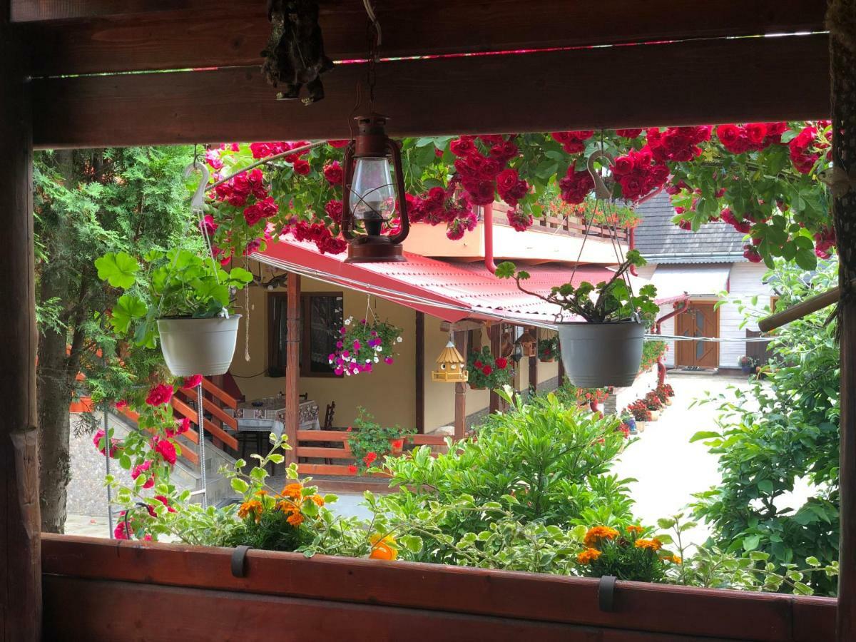 Casa Boico Otel Gura Humorului Dış mekan fotoğraf