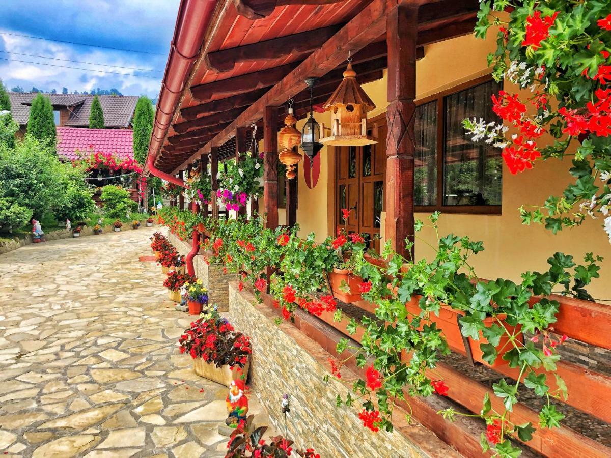 Casa Boico Otel Gura Humorului Dış mekan fotoğraf